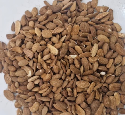 فروش و قیمت مغز بادام سنگی ممتاز